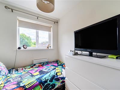 Picture 9
